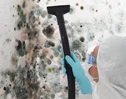 Best Real Estate Mold Inspection  in Lamar, CO